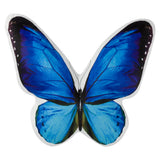 Z Neckblue