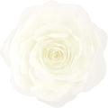 VG|creamy-white|3D Flower Throw Pillow Cover