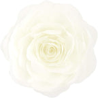 VG|creamy-white|3D Flower Throw Pillow Cover