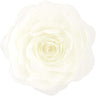 Creamy White