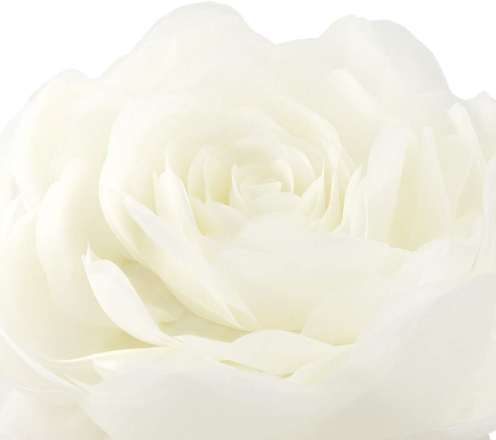 VG|creamy-white|3D Flower Throw Pillow Cover