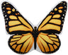 Yellow Butterfly