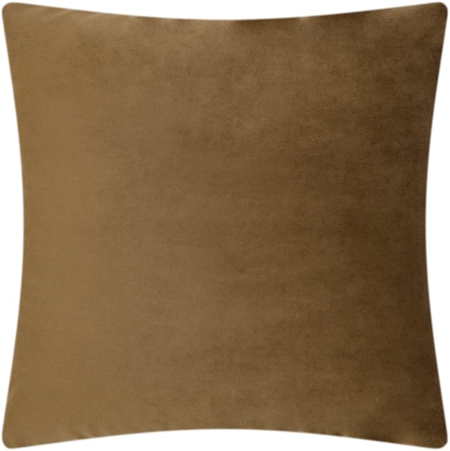 VG|rust-brown|Velvet Pillow Cover
