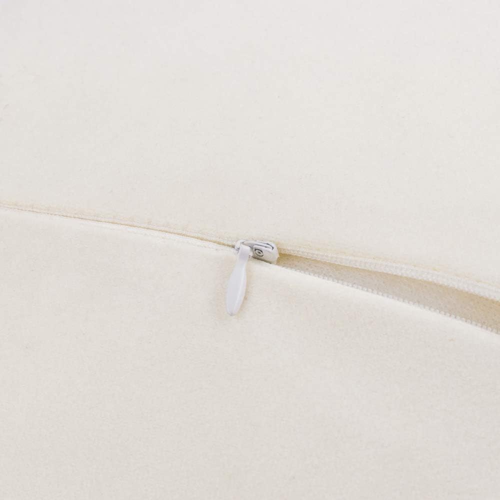 Decorative Throw Pillow with Insert