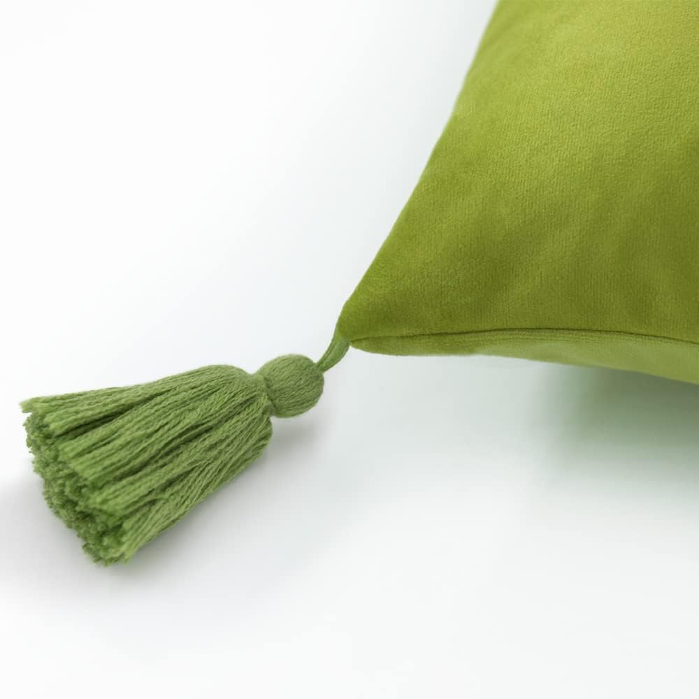 Tiger Velvet Throw Pillow Cover Decorative Flower Embroidered Accent Cushion Case Print Pillowcase for Bed Living Room Couch Bedroom Green Tassel
