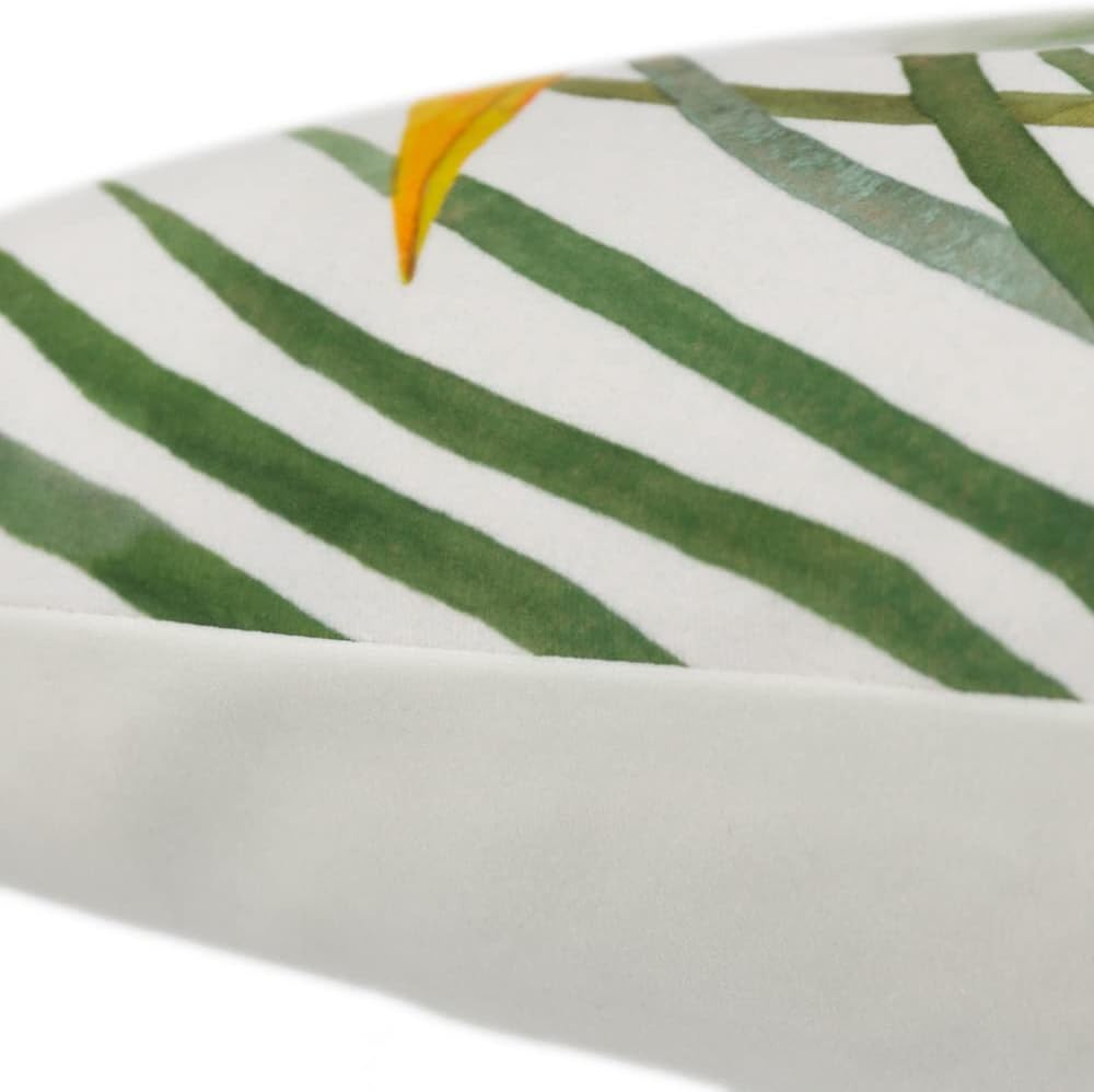 Birds Accent Throw Pillow Cover Decorative Pillow Case Sham Soft Velvet Cushion Cover for Sofa Bed Living Room Home Decor