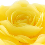 VG|yellow|3D Flower Throw Pillow Cover