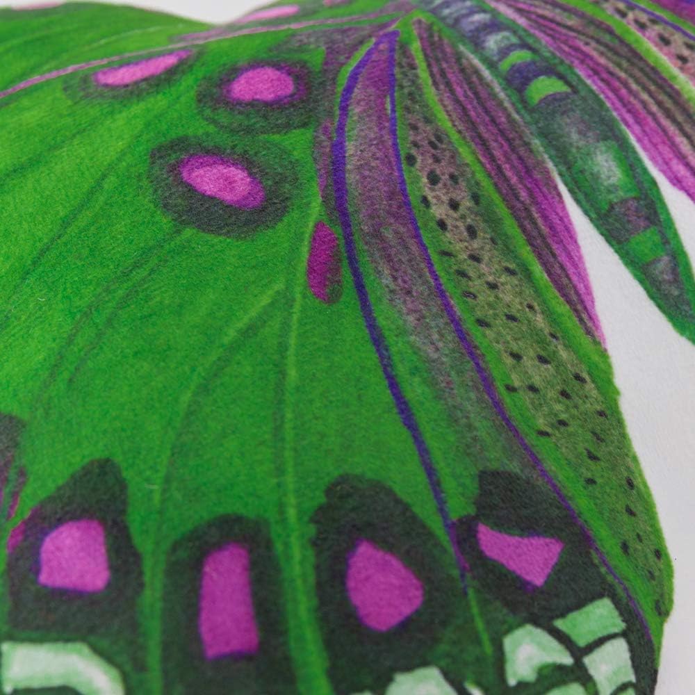 VG|green|3D Butterfly Throw Pillow, Hot Pink