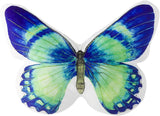 Blue Green