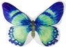 Blue Green