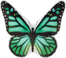 Green Butterfly