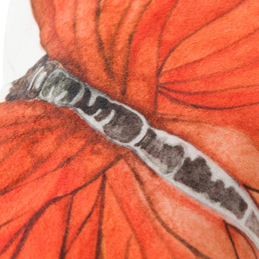 VG|light-orange|3D Butterfly Throw Pillow, Hot Pink