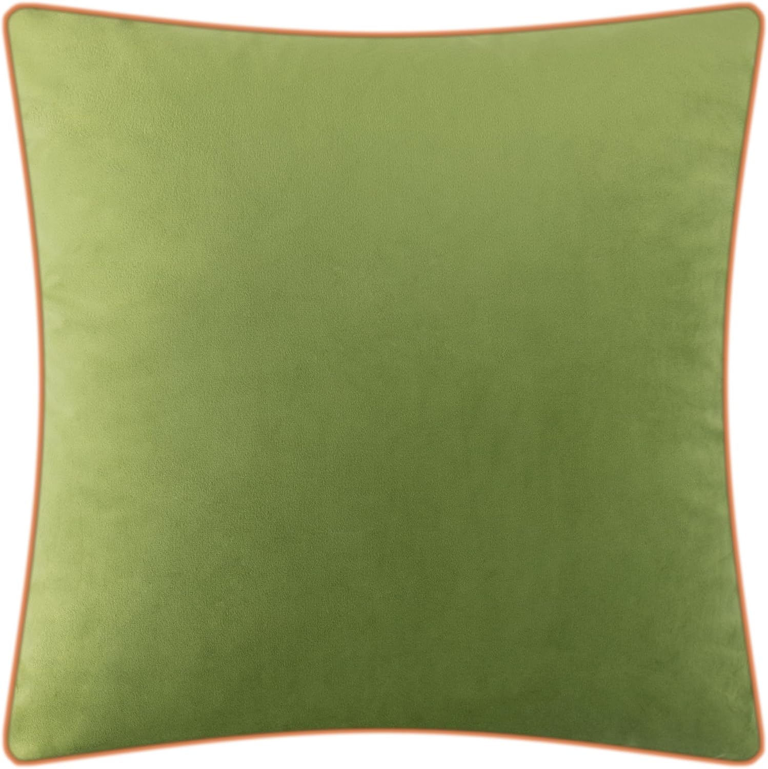 Printing Tiger Throw Pillow Cover