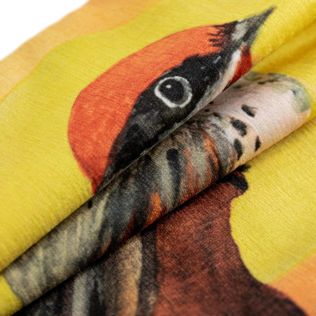 VG|black-orange-bird|Square Throw Pillow Cover