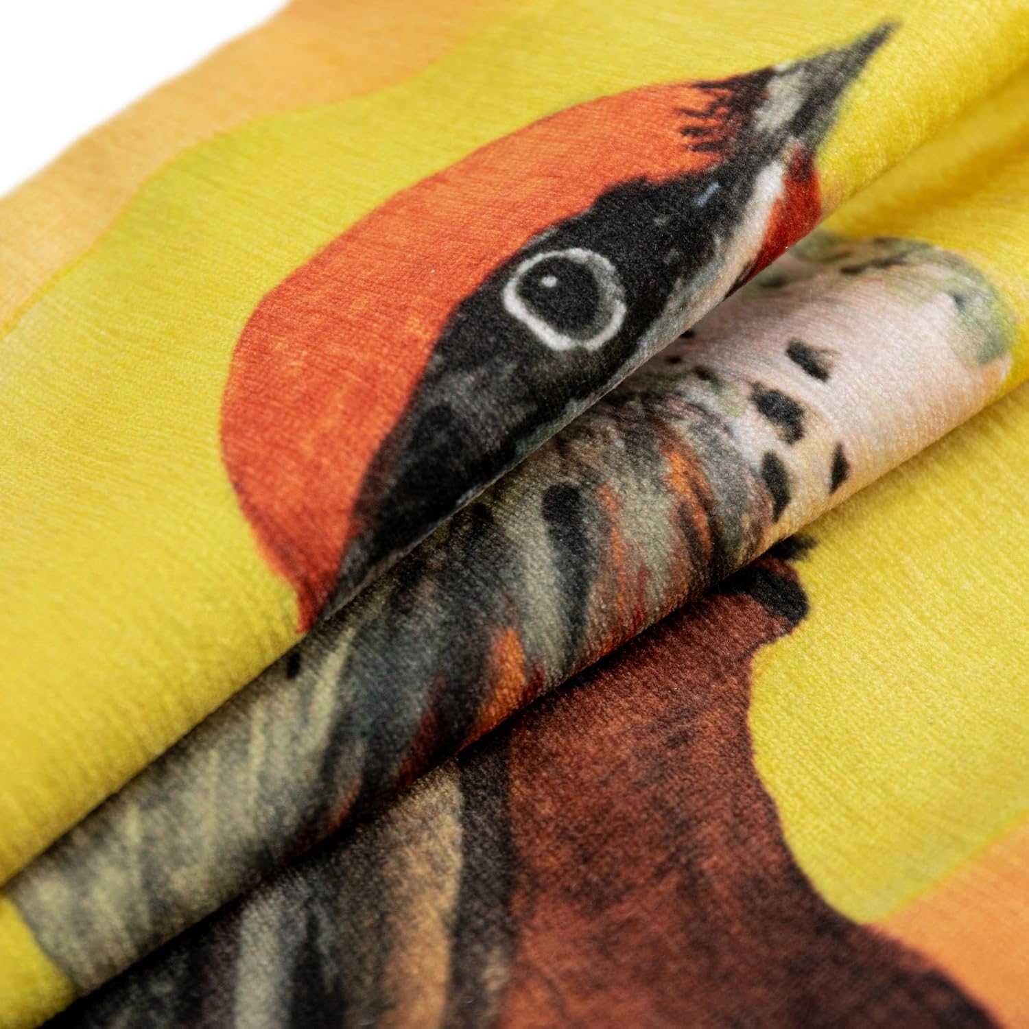 VG|black-orange-bird|Square Throw Pillow Cover