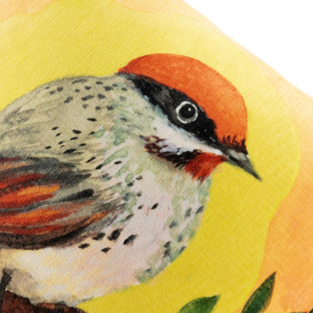 VG|black-orange-bird|Square Throw Pillow Cover