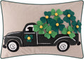 St Patricks Day Lucky Clover Throw Pillow Cover Shamrock Green Pillow Case Holiday Decor Cushion Cover for Sofa Couch Living Room Bed - Default Title