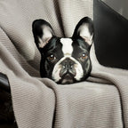 3D Dog Throw Pillow Cute Cushion Decorative Animal Pillow for Bed Sofa Living Room Chair Couch